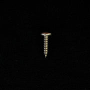 Lelit Screw TCBIC 3,5X 12,5 Inox