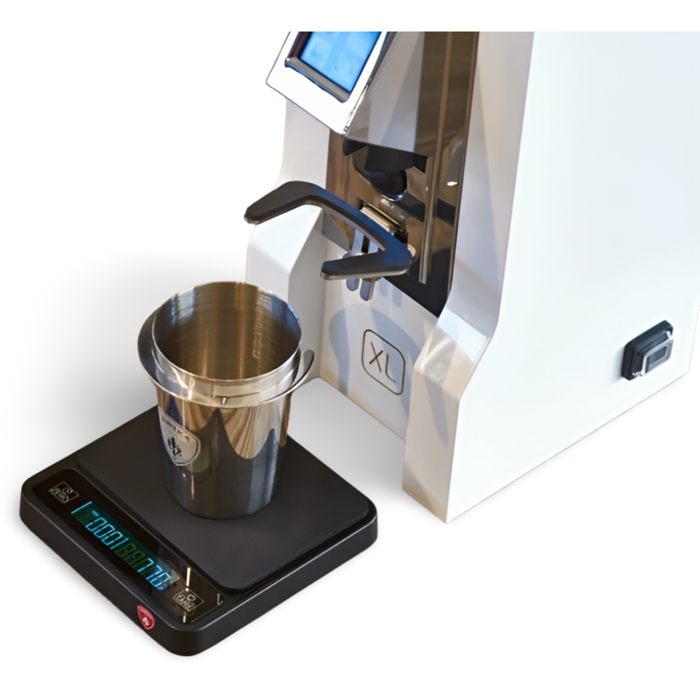 Digital Scale Precisa