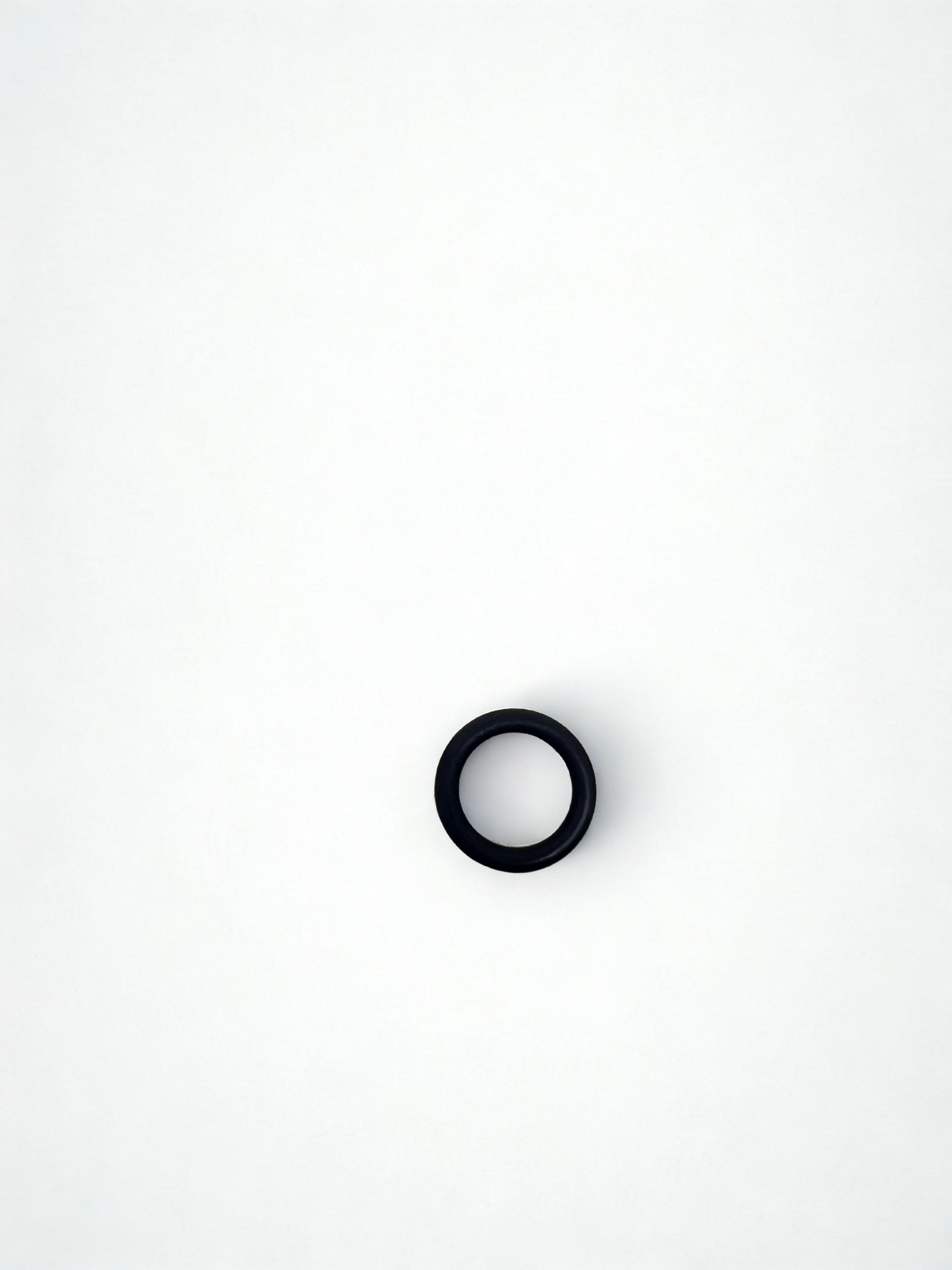 O-RING NUT STEAM / HOT WATER GUARNIZIONE