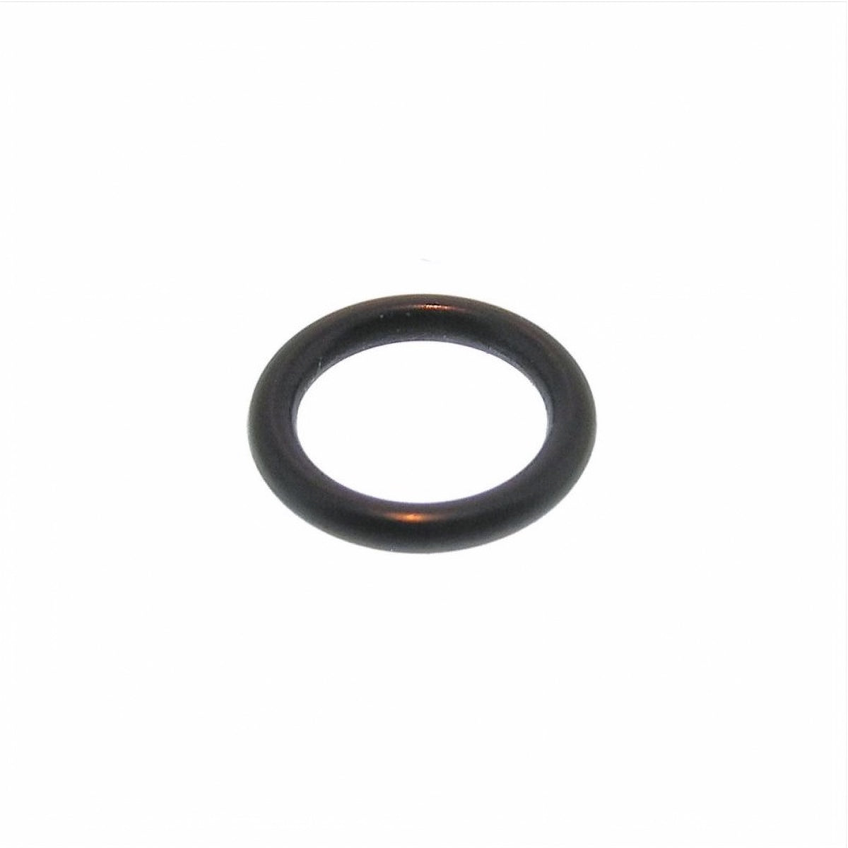 Rocket Steam Wand O-Ring